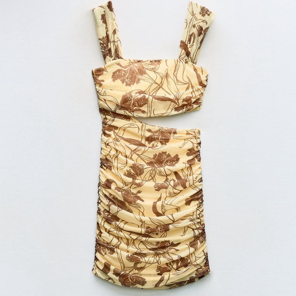 Zara Cut Out Printed Tulle Dress